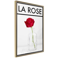 Poster Rose in the Vase 20x30