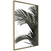 Poster Jungle Scent 30x45