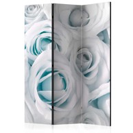 Sobna pregrada u 3 dijela Satin Rose (Turquoise) 135x172