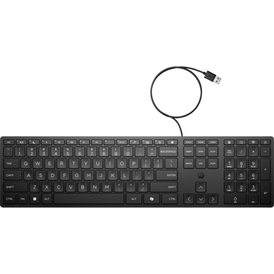 HP Tipkovnica 320K Wired Keyboard, crna