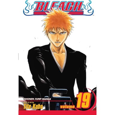 Bleach vol. 19
