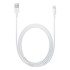 APPLE Kabel USB-A - Lightning 0.5m (ME291ZM/A), bijeli