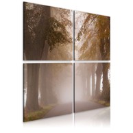 Slika Foggy alley 80x80