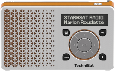 TECHNISAT Radio DigitRadio 1 srebrna/narančasta
