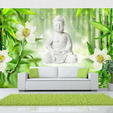 Foto tapeta Buddha and nature 200x140