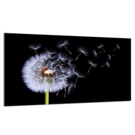 TMK Staklena zaštita za štednjak ili ploču za kuhanje 90 x 52 cm, cvijet