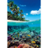 CLEMENTONI Puzzle Summer Paradise, High Quality Collection, 1000 kom.