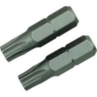 LUX TOOLS Bit za bušilicu torx-bit-kompl. TX30/2 KOM.