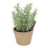 ESSCHERT DESIGN Umjetna biljka Thyme, visina 21,5 cm
