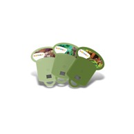 KIDYWOLF Set od 3 priče za projektor- Knjiga o džungli