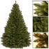 Božićno drvce kavkaska smreka, 120 cm