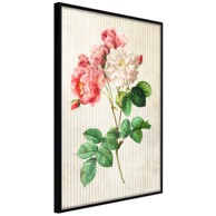 Poster Romance II 30x45