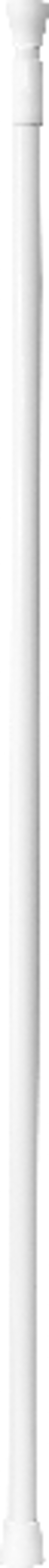 TENDANCE Držač zavjese za kadu i tuš 110 - 200 cm alu, bijeli