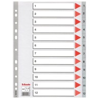 ESSELTE Pregrada plastična 100106, A4, 1-12, siva