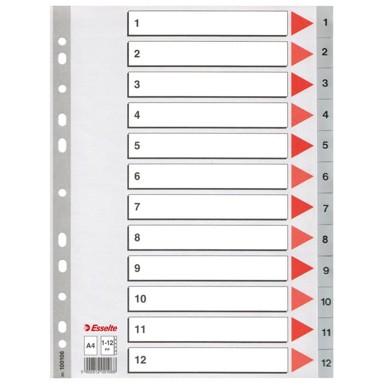 ESSELTE Pregrada plastična 100106, A4, 1-12, siva