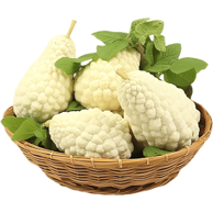 NIKCORP Sjemenke bijele gorke dinje Karela, 10 kom