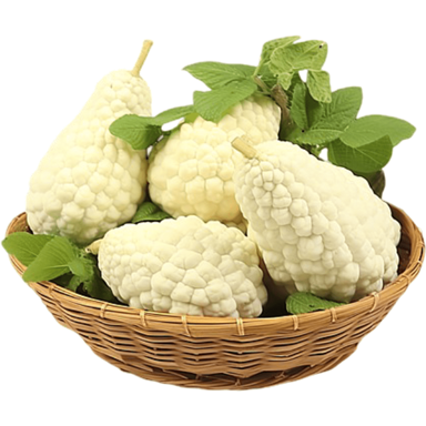 NIKCORP Sjemenke bijele gorke dinje Karela, 10 kom