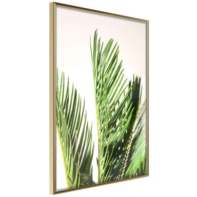 Poster Rustling of Leaves 30x45