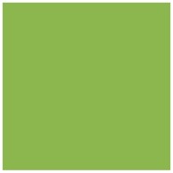 CONNECT Papir u boji B1 200 g Bristol Colore 10 kom 230 pistacio