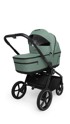MUUVO Dječja kolica Five 2u1 Pine Green