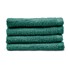 CATHERINE LANSFIELD Zeleni brzosušeći pamučni ručnici u setu 4 kom 30x30 cm Quick Dry