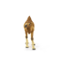 SCHLEICH Dječja figura WILD LIFE 14832