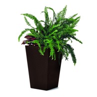 KETER Plastična ukrasna tegla za cvijeće Rattan