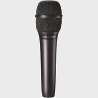 AUDIO TECHNICA Mikrofon AT2010, crni, kardioidni