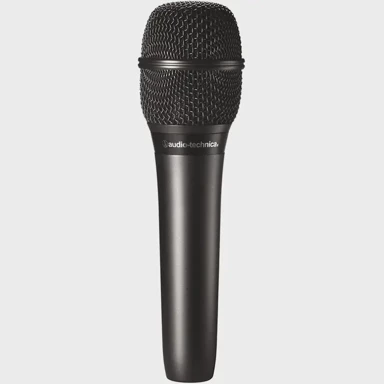 AUDIO TECHNICA Mikrofon AT2010, crni, kardioidni