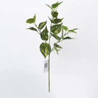 Rezano cvijeće Grana zelenila, 68 cm