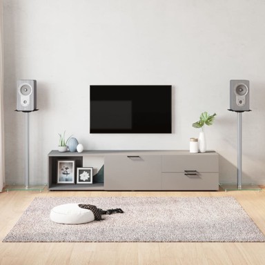 Stalci za zvučnike (2 kom, srebrni, od kaljenog stakla s 1 stupom)