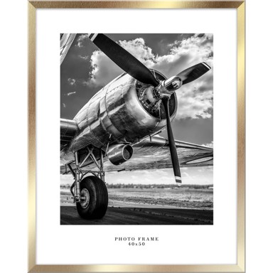 STYLER Zidni okvir u zlatnoj boji Florida, 43 x 53 cm