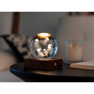 GINGKO LED stolna lampa u prirodnoj boji sa staklenim sjenilom (visina 8 cm) Amber 