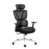 Expert 4.6 Ergonomska stolica, crna