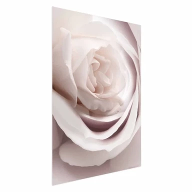Plakat Porcelain Rose, 60x90 cm