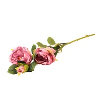 Rezano cvijeće Grana ruže, 69 cm, ljubičasta