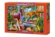 CASTORLAND Puzzle Tigrovi, 3000 kom