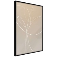 Poster White Tulip 40x60