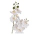 CASA SELECCION Umjetna biljka Orchid, visina 39 cm