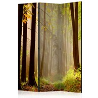 Sobna pregrada u 3 dijela Mysterious forest path 135x172