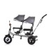 CHIPOLINO Tricikl 2Play, siva