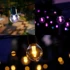 PHILIPS HUE Vanjska svjetlosna girlanda Festavia Globe 7 m