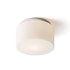 RENDL Stropna lampa, Arana R 27, opal staklo/krom, 230V, E27, 20W, IP44, bijela
