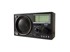 DARTEL Radio FM DARTEL RD-140MP3 Crni