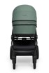 MUUVO Dječja kolica Five 2u1 Pine Green