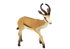 Kolekcionarska figurica antilope ŽIVOTINJE SVIJETA