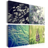 Slika Magical field 40x40