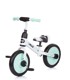 CHIPOLINO Dječji bicikl Max bike 2u1- zeleni