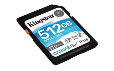 KINGSTON Memorijska kartica Canvas Go! Plus SD, 512 GB