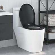 Brzo otpuštanje WC daske s tihim zatvaranjem, Duroplast, crna